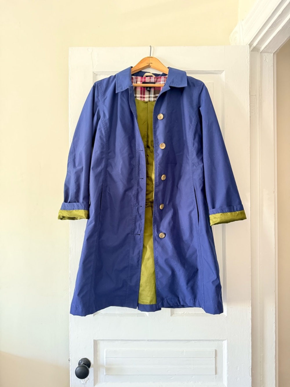 Blue Trench Coat with Green Lining